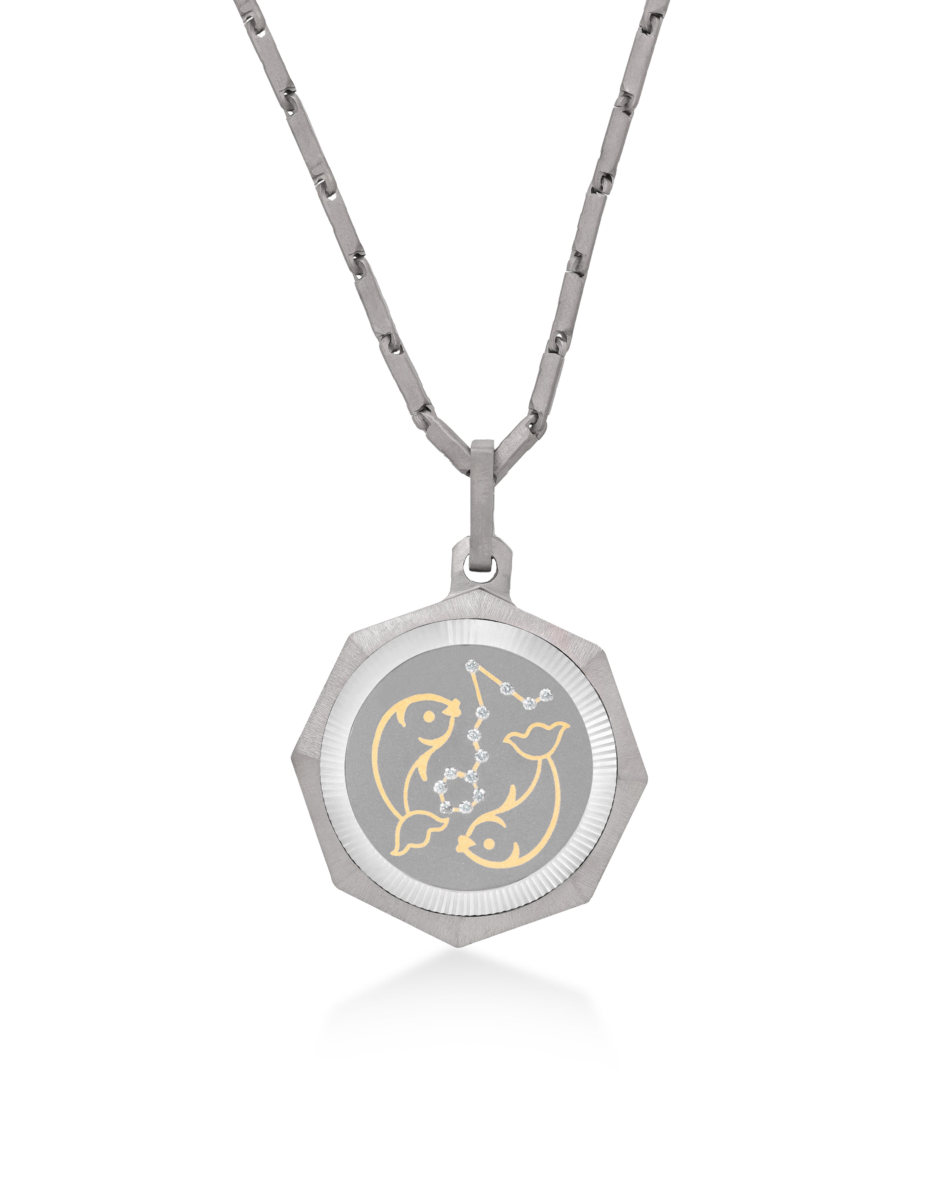 Unisex Titanium Zodiac Pendant