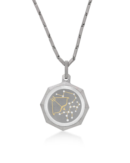 Unisex Titanium Zodiac Pendant