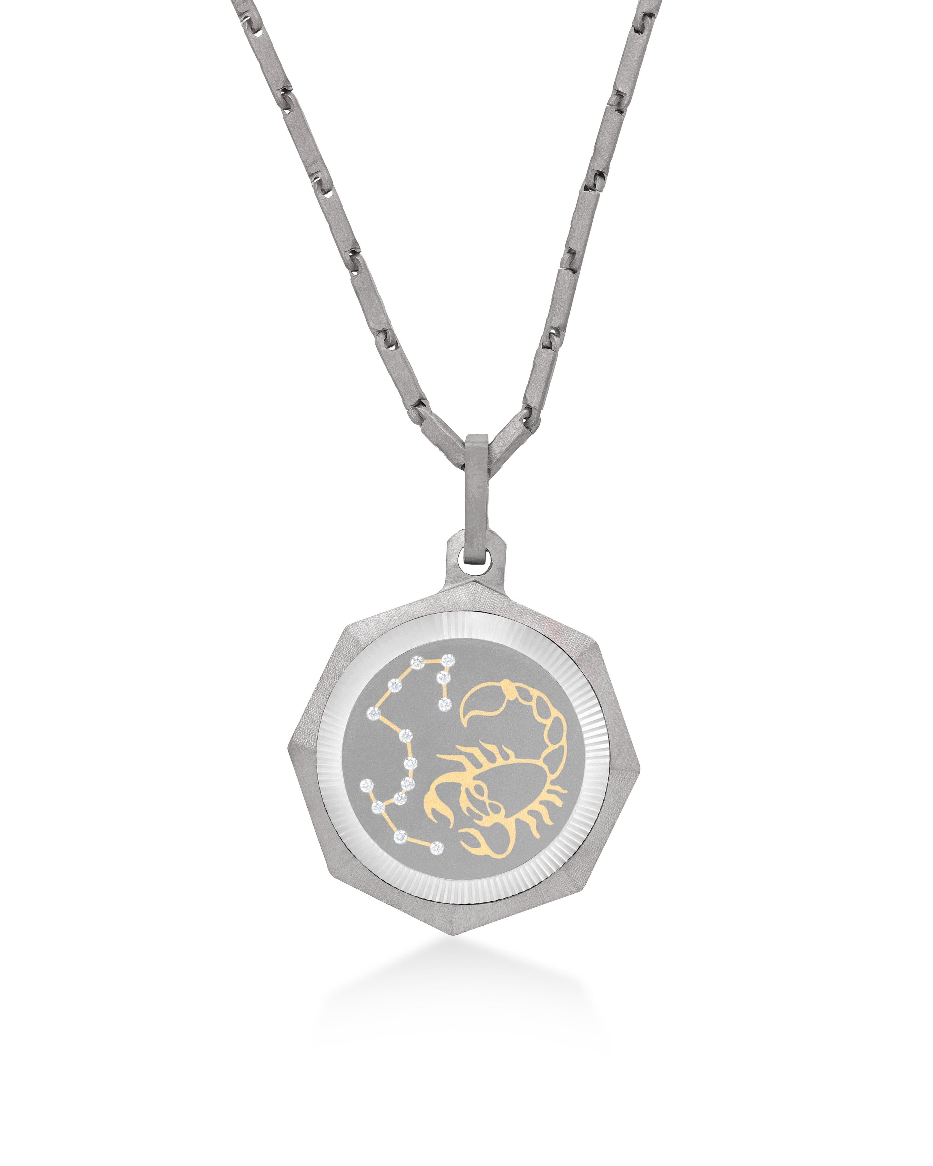 Unisex Titanium Zodiac Pendant