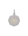 Leo – Titanium Zodiac Pendant