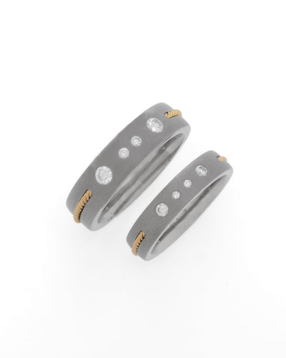 Couple's Titanium Band