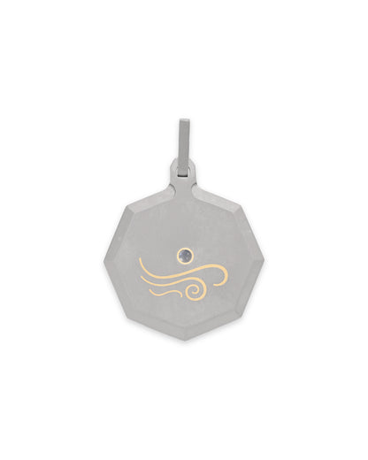 Unisex Titanium Zodiac Pendant