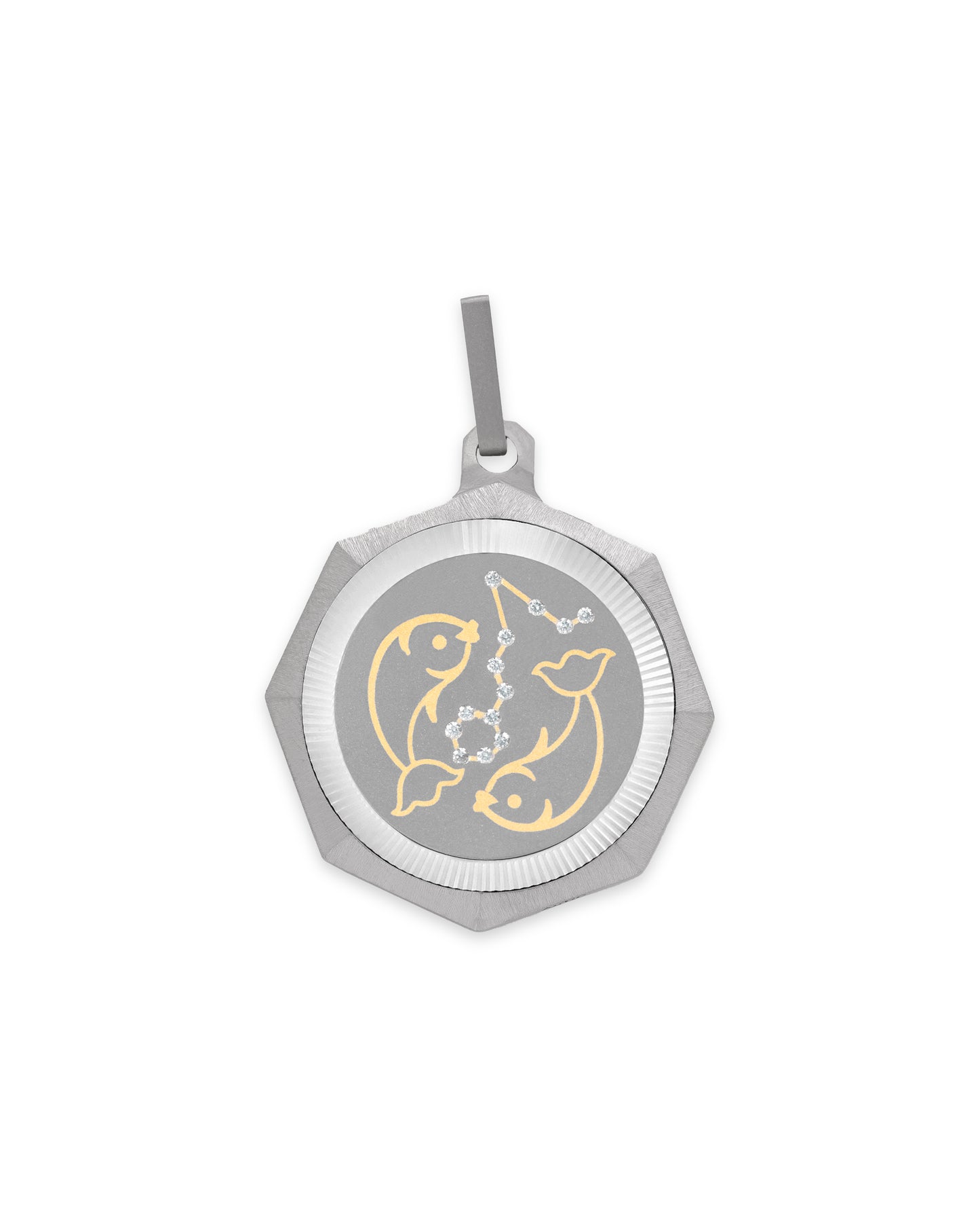 Unisex Titanium Zodiac Pendant
