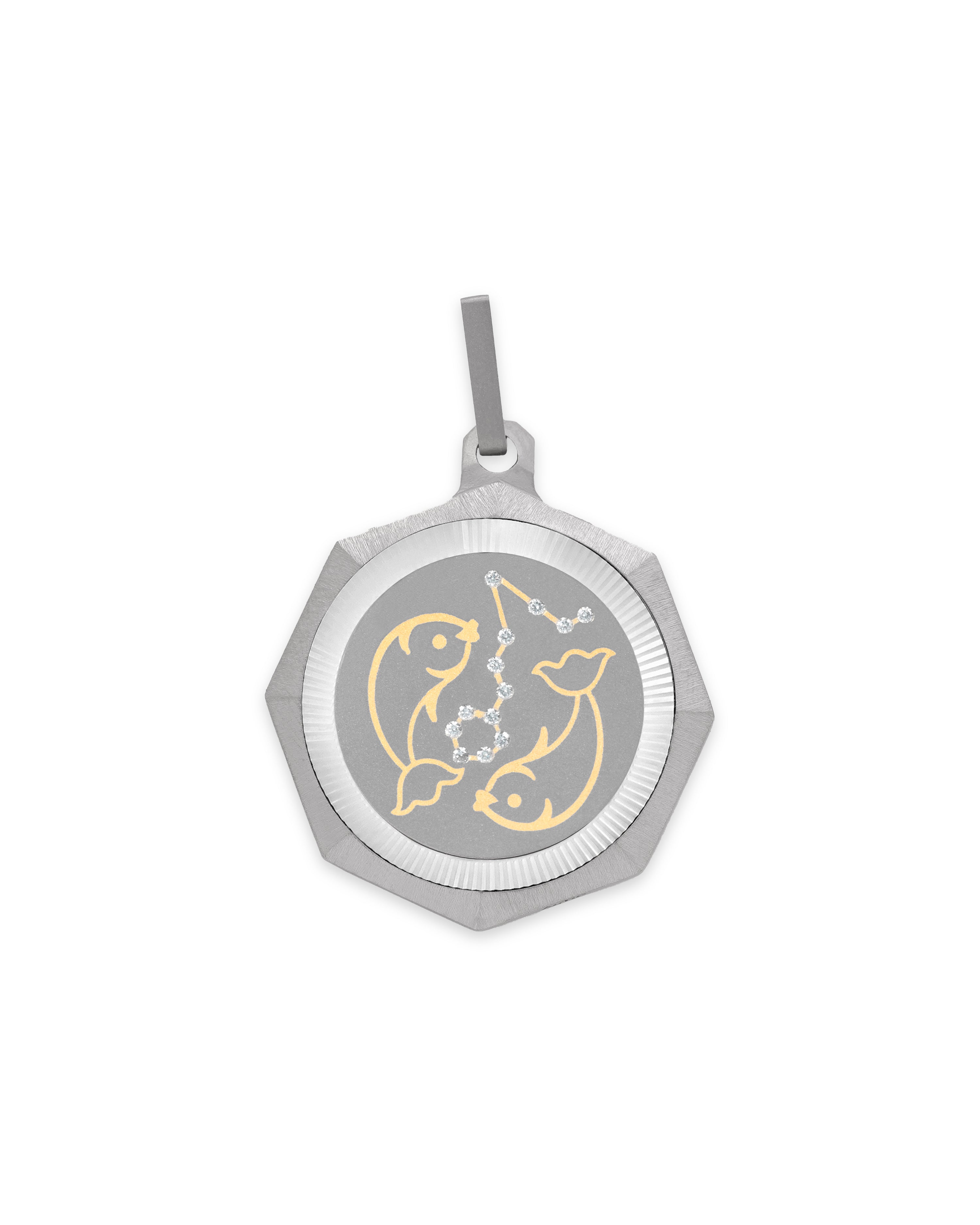 Unisex Titanium Zodiac Pendant