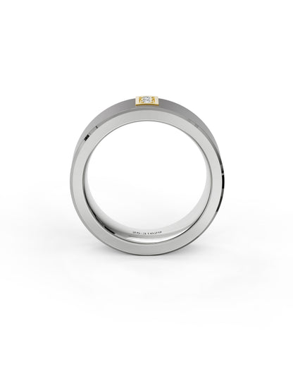 Men's Titanium Band
