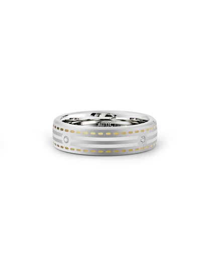 Mens's Silver Titanium Ring with Matte Finish