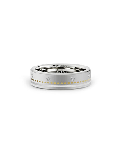 Mens's Silver Titanium Ring with Matte Finish