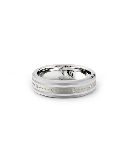 Mens's Silver Titanium Ring with Matte Finish