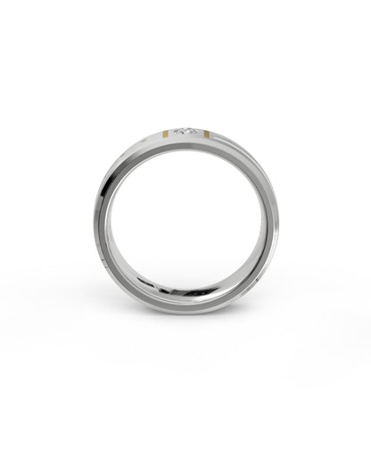 Mens's Silver Titanium Ring with Matte Finish