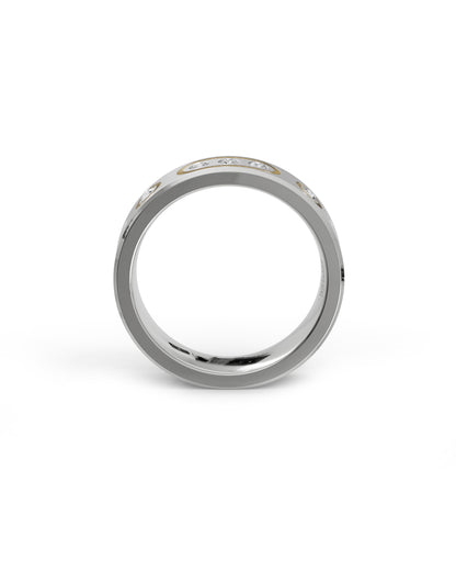 Mens's Silver Titanium Ring with Matte Finish
