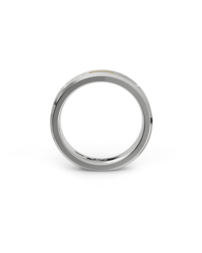 Mens's Silver Titanium Ring with Matte Finish
