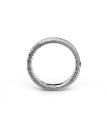 Mens's Silver Titanium Ring with Matte Finish