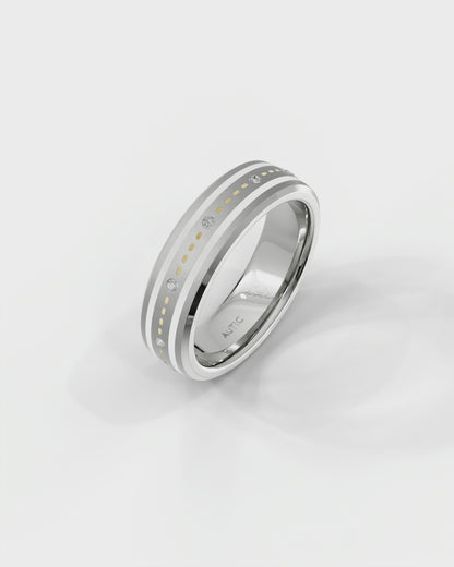 Mens's Silver Titanium Ring with Matte Finish